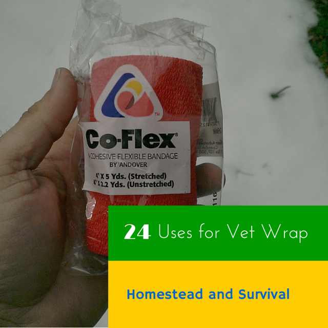 The Rural Economist & Bringing Rural Back Podcast 24 Uses for Vet Wrap