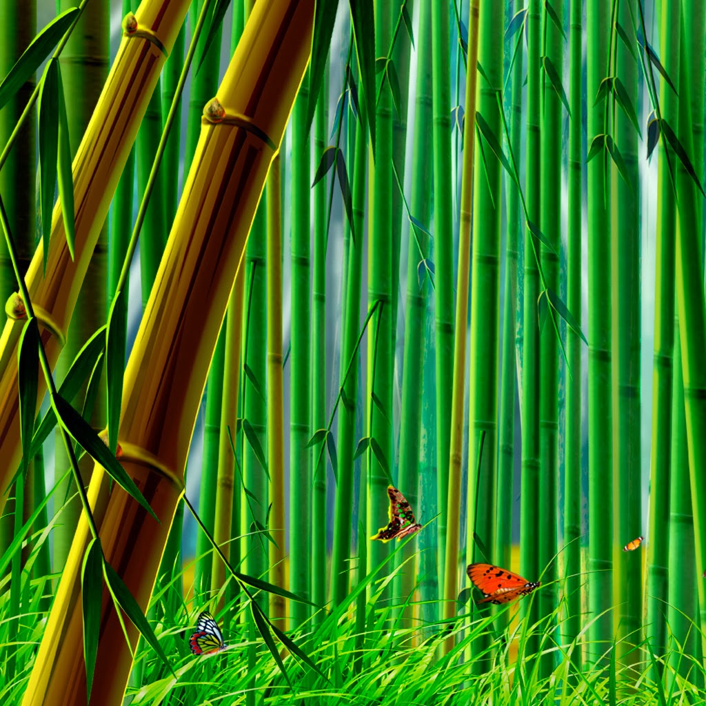 bamboo paper for windows free