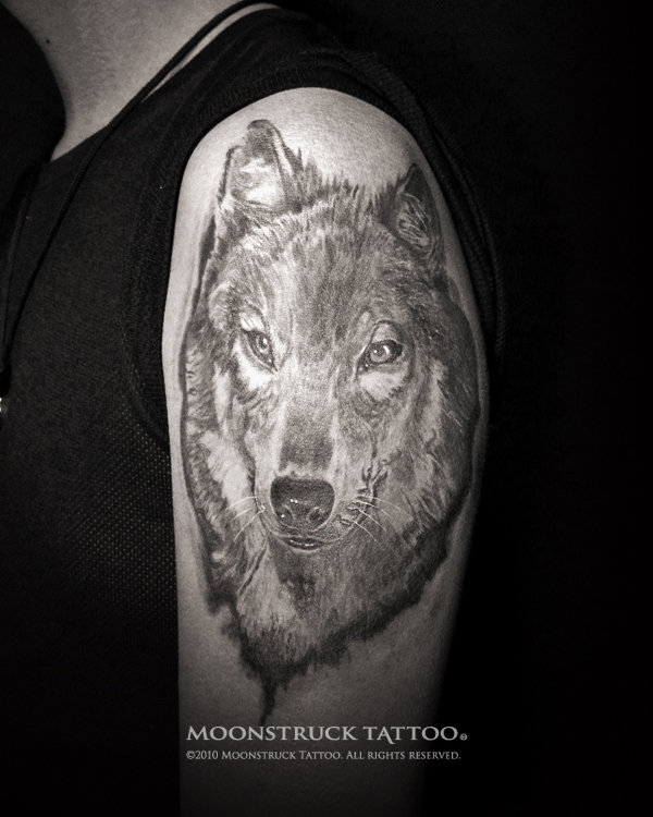 Téléchargement gratuit Images Moonstruck Tattoo Wolf