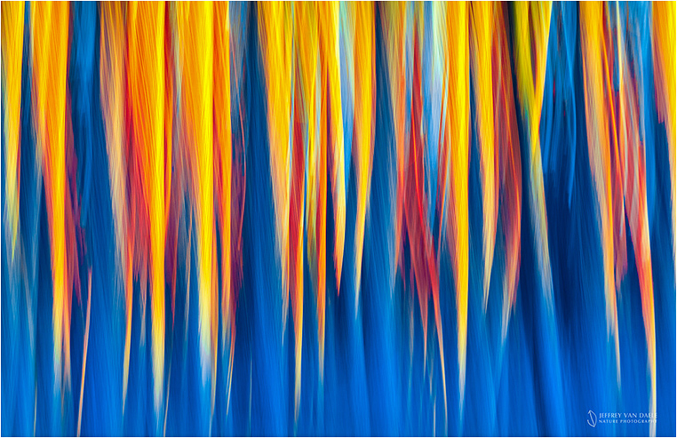 Emerging Photographers, Best Photo of the Day in Emphoka by Jeffrey Van Daele Emerging Photographers, Best Photo of the Day in Emphoka by Jeffrey Van Daele