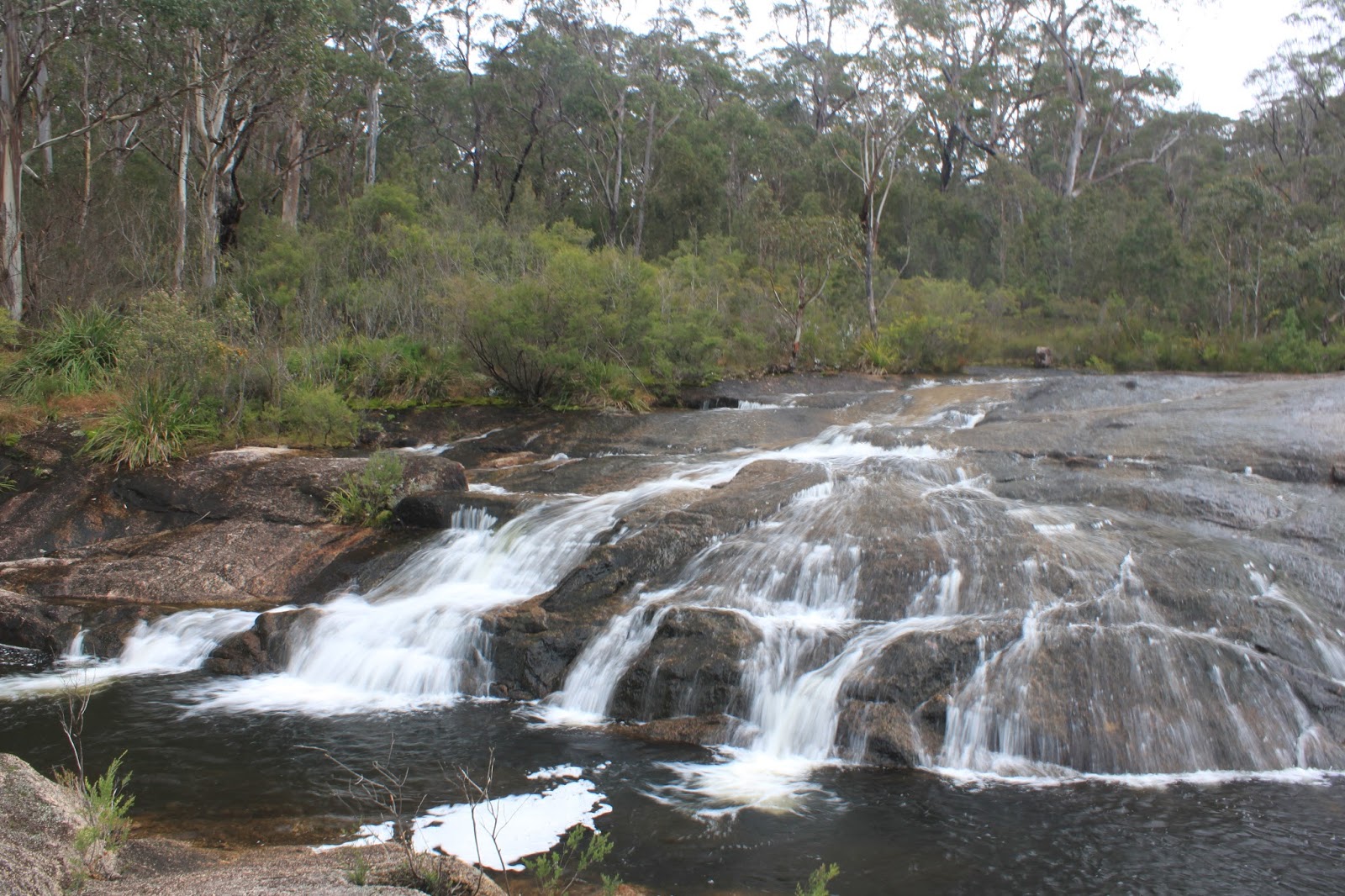 its just my life Basket Swamp National Park