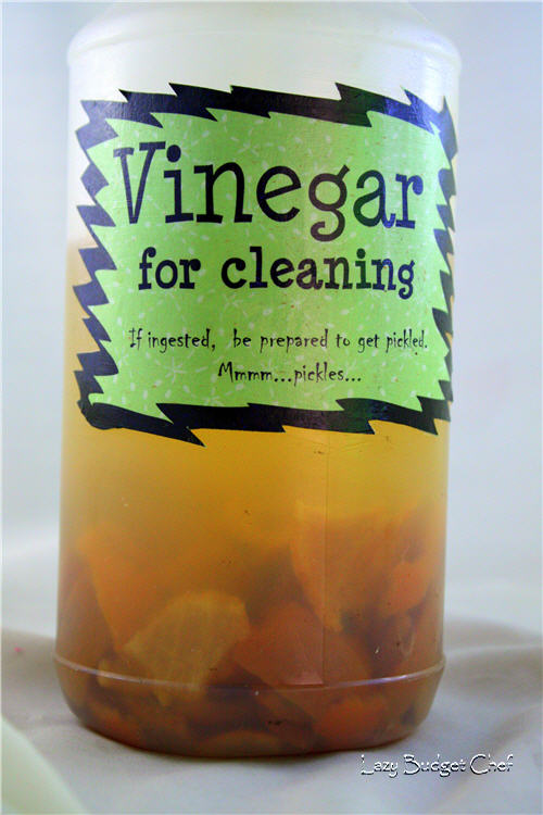 Lazy Budget Chef How to Make Orange Citrus Cleaner the Lazy Way