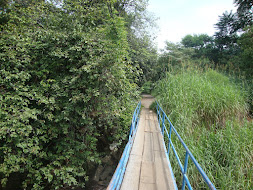 ponte em cima do rio