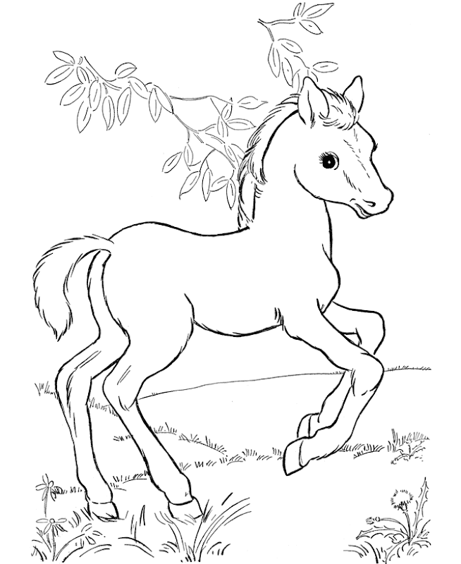 Horse coloring pages for kids title=