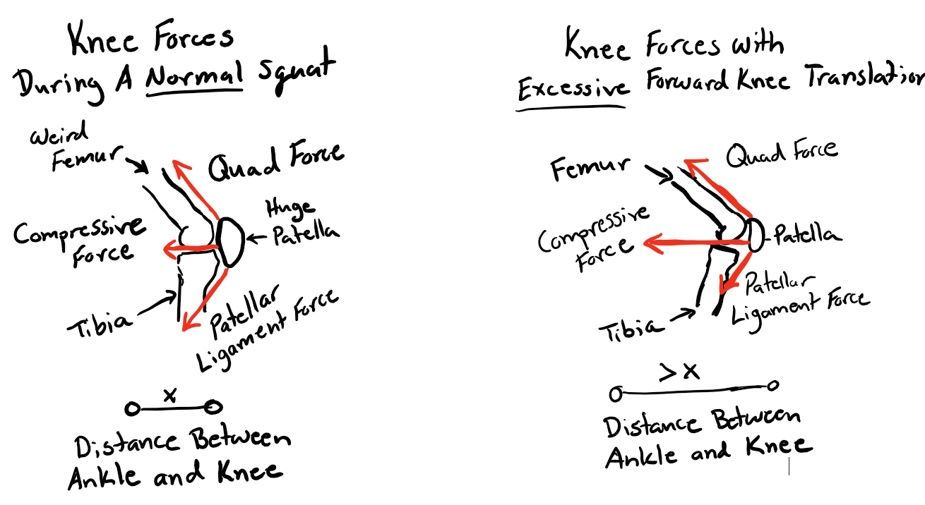 Weights and Stuff Squat Talk Hips and Knees