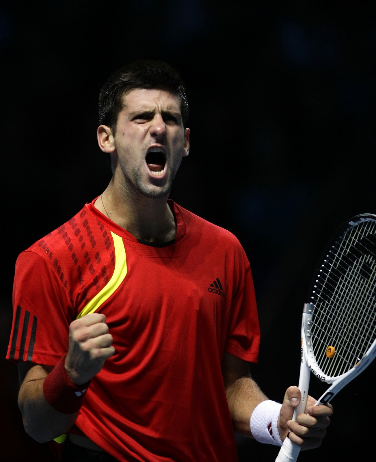 informations, videos and wallpapers: Novak Djokovic