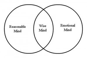Printables Wise Mind Worksheet wise mind worksheet abitlikethis lyres musings mindfulness monday mind