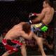 UFC 142 : Jose Aldo vs Chad Mendes Full Fight Video In High Quality