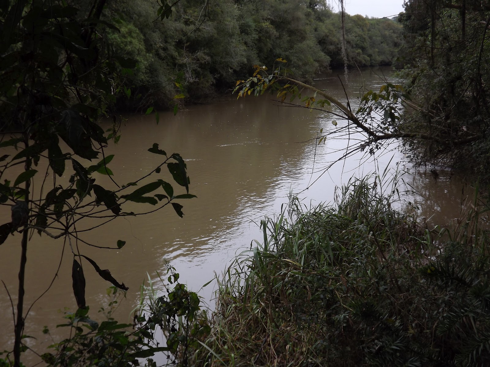QUITANDINHA PR Bacia Hidrográfica do Rio da Várzea