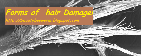 Beauty Bookworm Types Of Hair Damage