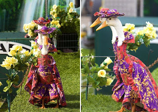 Funny Duck Fashion Show