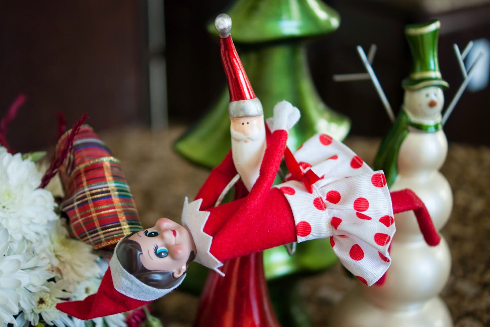 The Sweatman Family Sprinkles the Elf {Day 17}