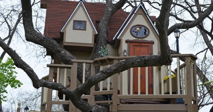 Husmeando por la red: La casa del árbol para niños más increíble que