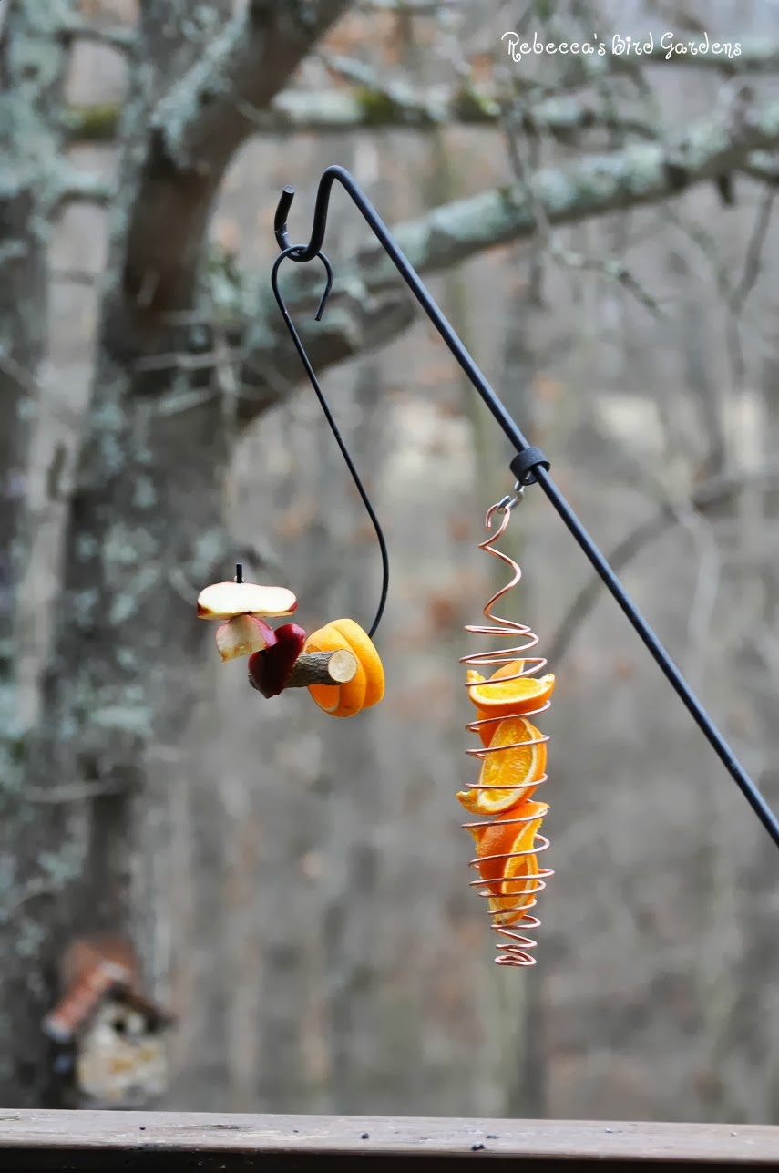 the gardenroof coop DIY Fruit and Hummingbird Feeders