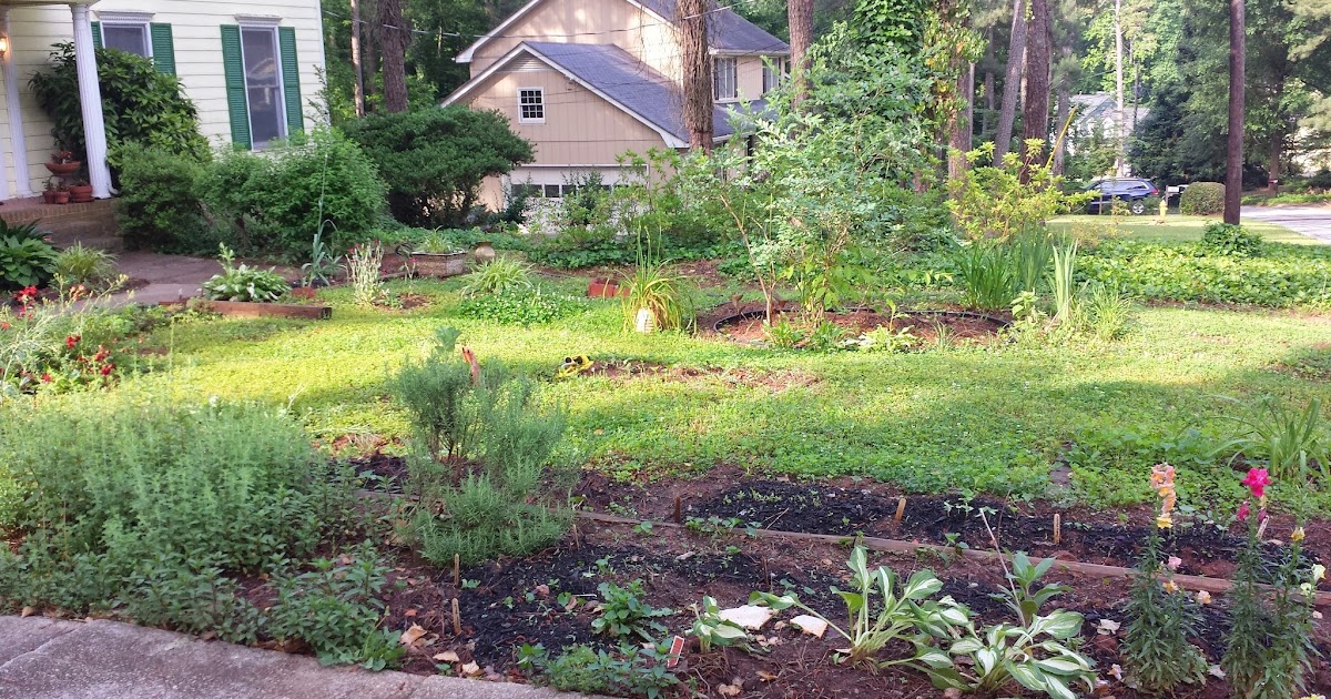 Afiya's Garden: Grow where you Are: My Front yard Edible Landscape