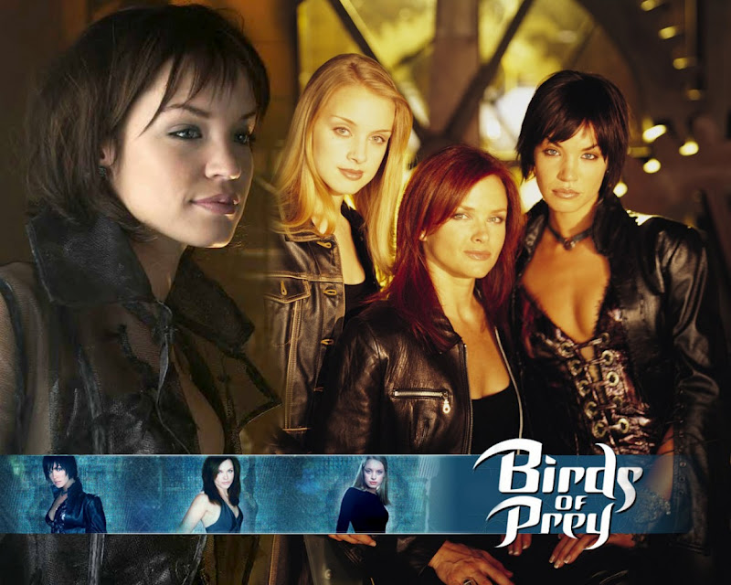 birds of prey cast show birds of prey cast show