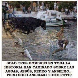 imagenes chistosas , graciosas , divertidas imagenes chistosas , graciosas , divertidas