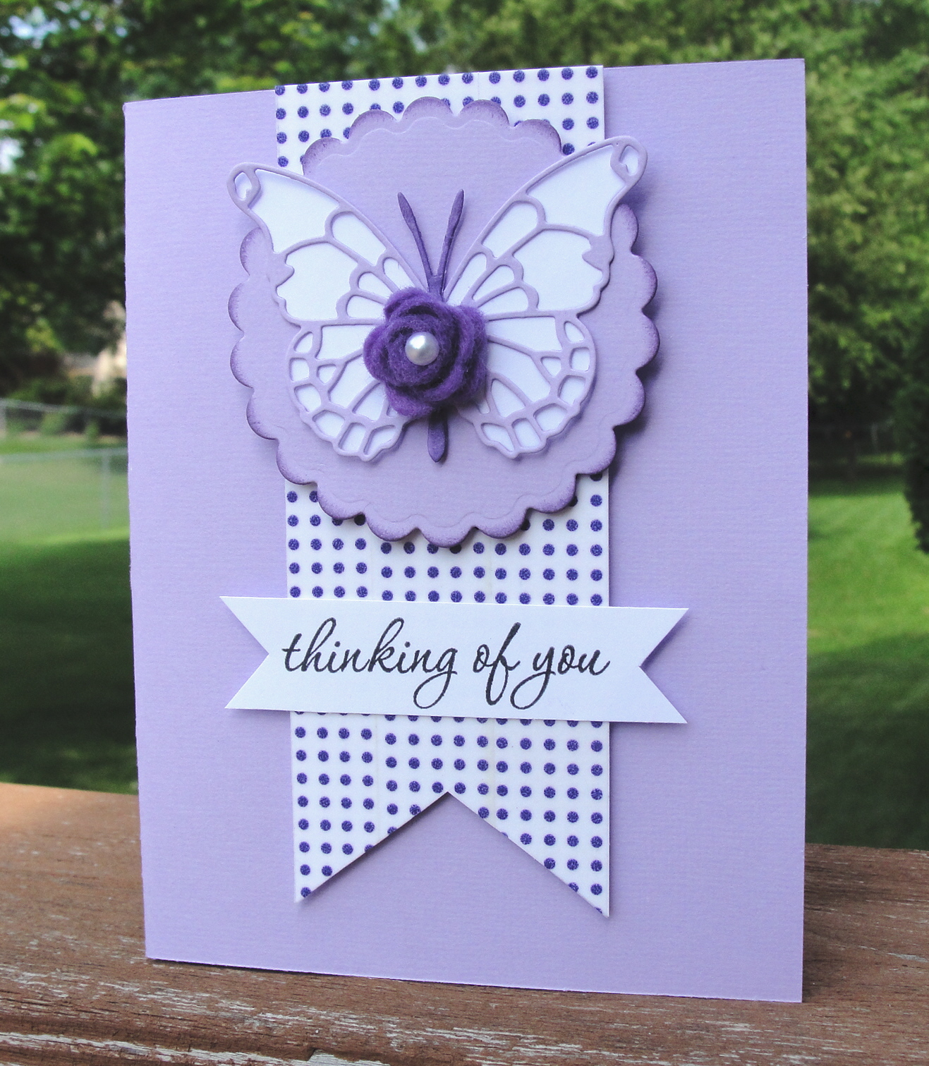 Butterflies in your stomach meaning picture