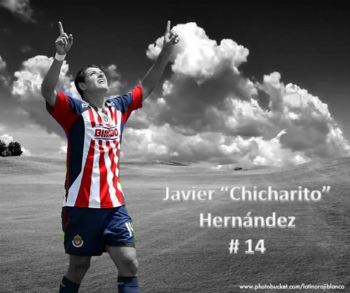 the best football wallpaper: Javier Hernandez Wallpapers
