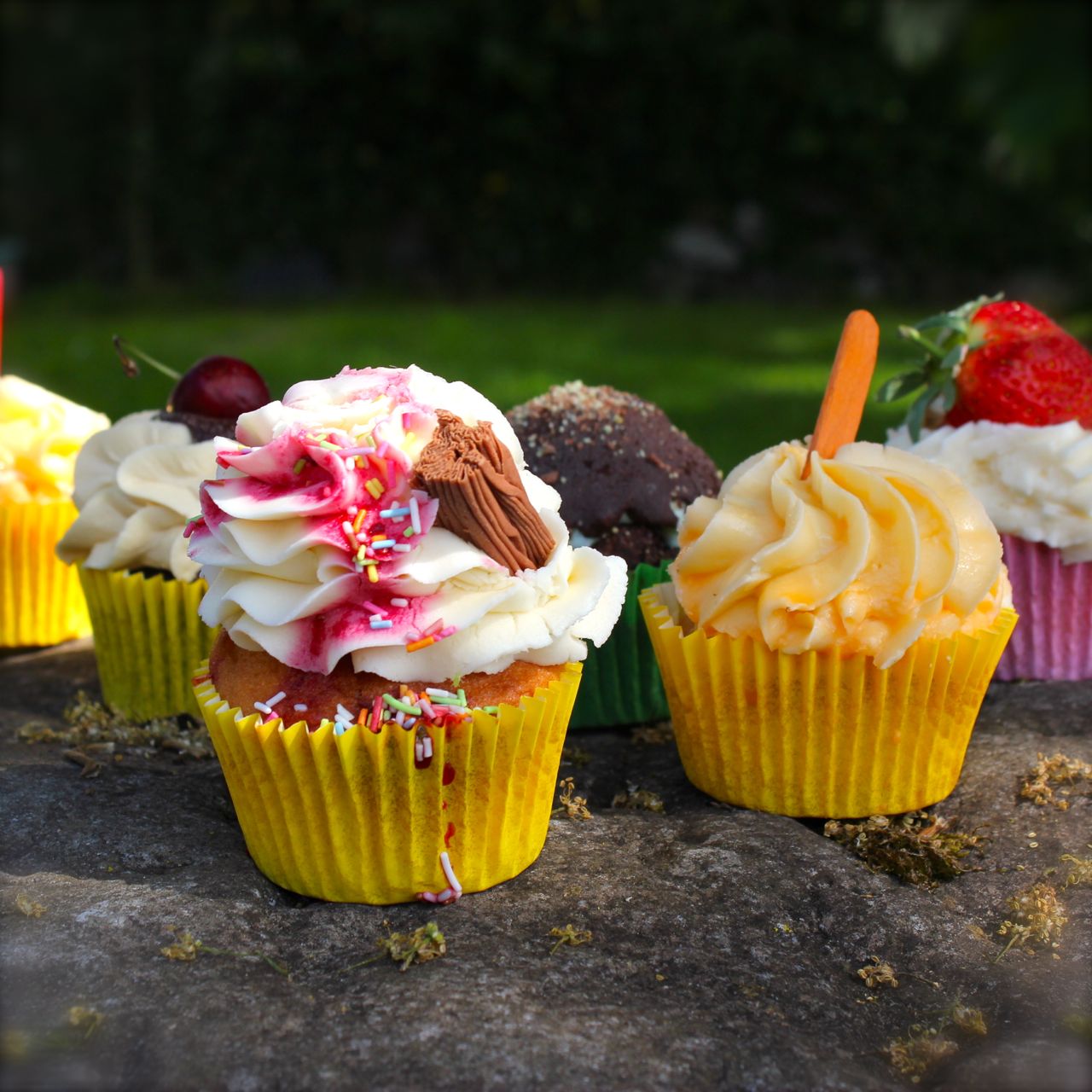 Warm&Snug&Fat Cupcakes are the new Cupcakes!