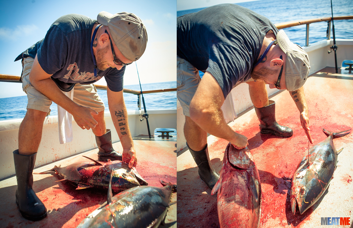 MEAT ME: Blue Fin Tuna, The Other Red MEAT: Endeavor Sportfishing