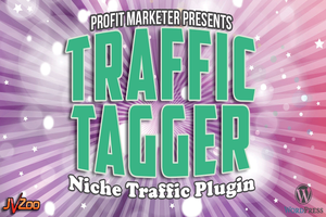 WP Traffic Tagger