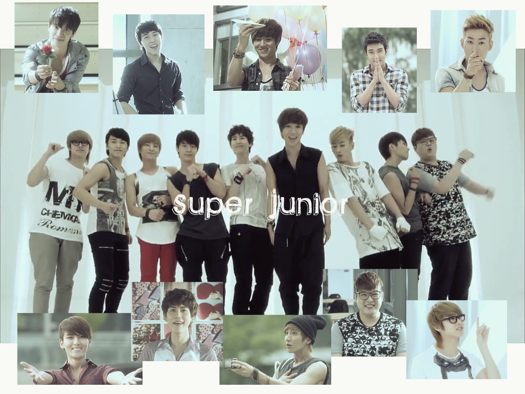 Zhenji Dynasty Warrior LIRIK LAGU SUPER JUNIOR NO OTHER