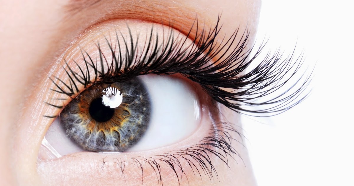 Alifa Wong Beauty & Bridal Blepharitis & Eyelash Extension Aftercare