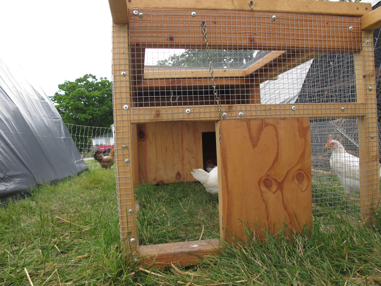 Joe's Garden Journal DIY Outdoor Chicken Brooder / Broody Hen Box