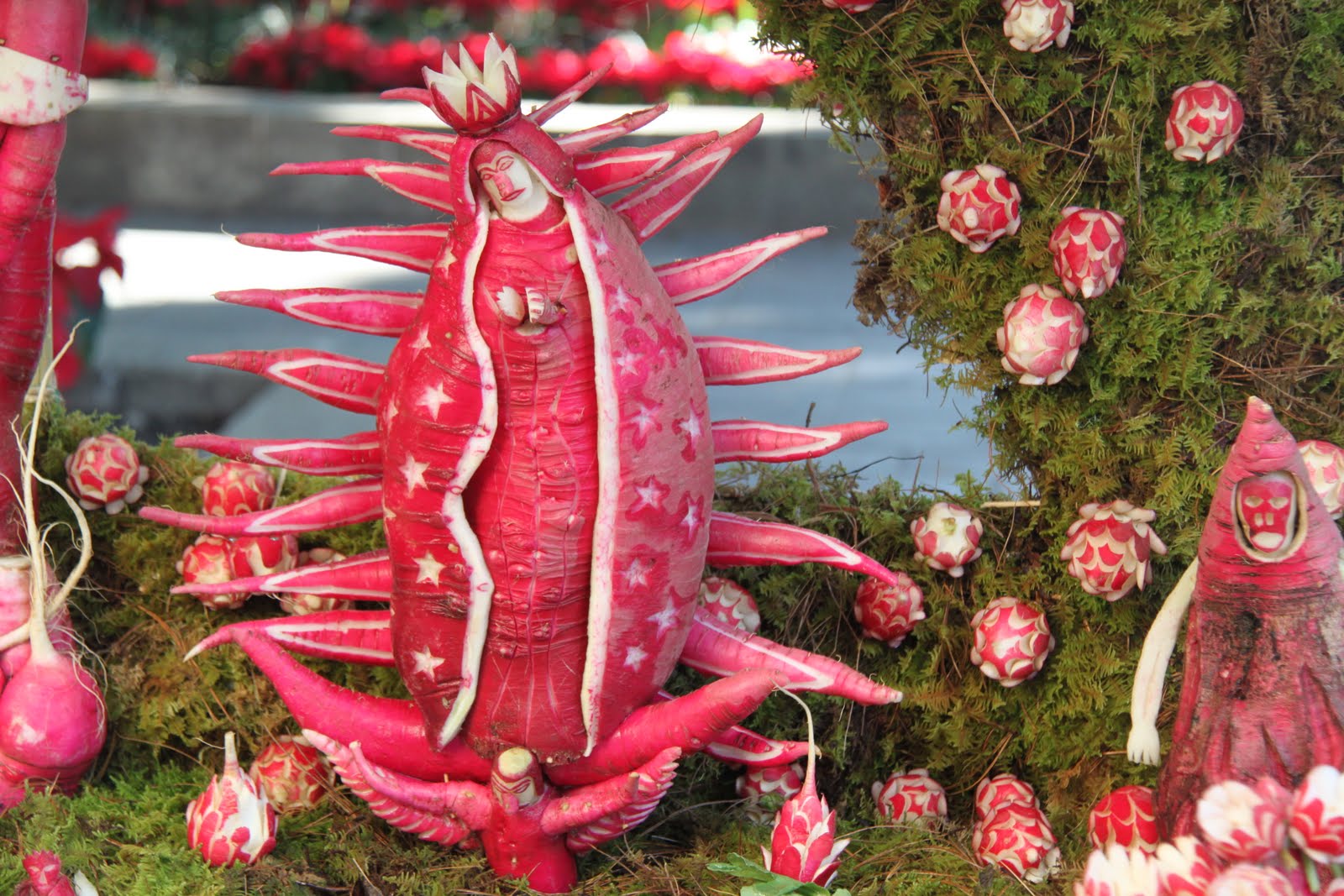 Mexico File Night of the Radishes