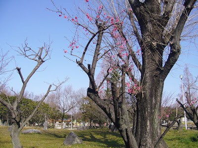 大阪府・久宝寺緑地