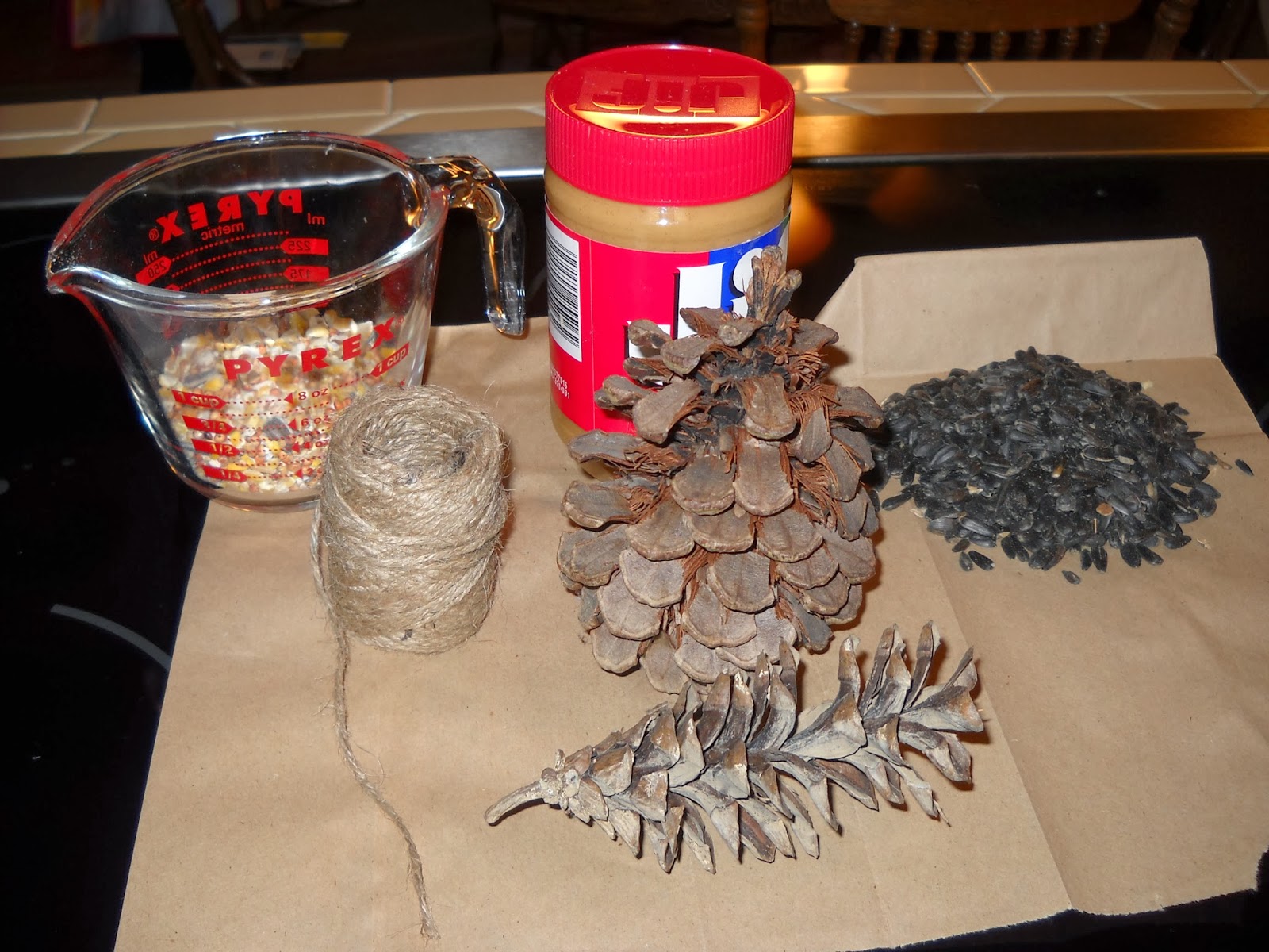 Birdseed Peanut Butter Pine Cones mother2motherblog