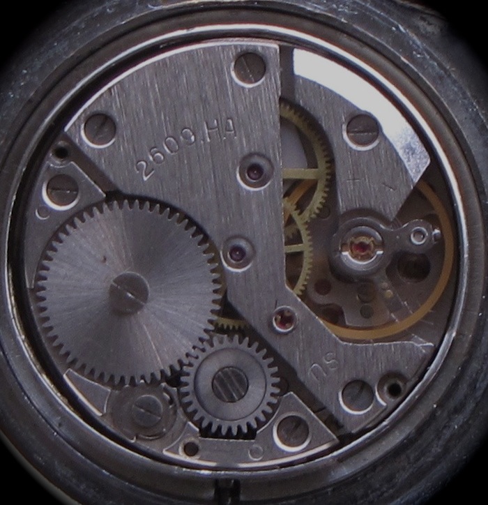 sonsuzluk ve bir gun blogger