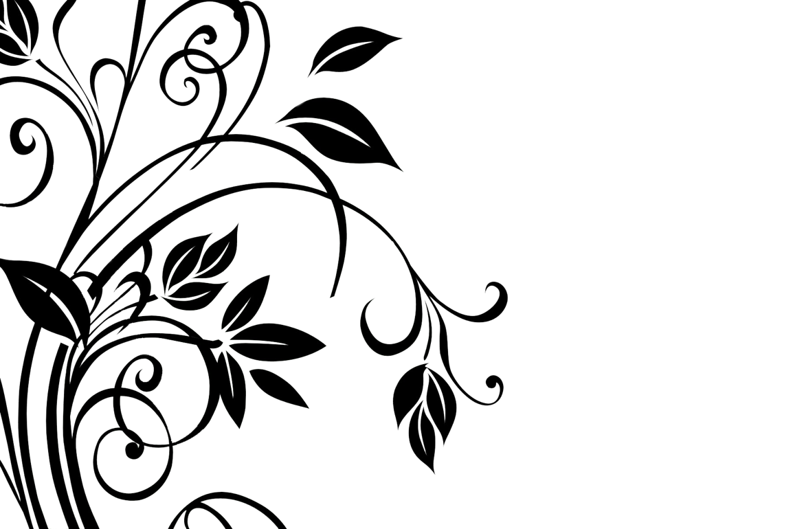 Download Gambar Png Bunga Matahari Png Images