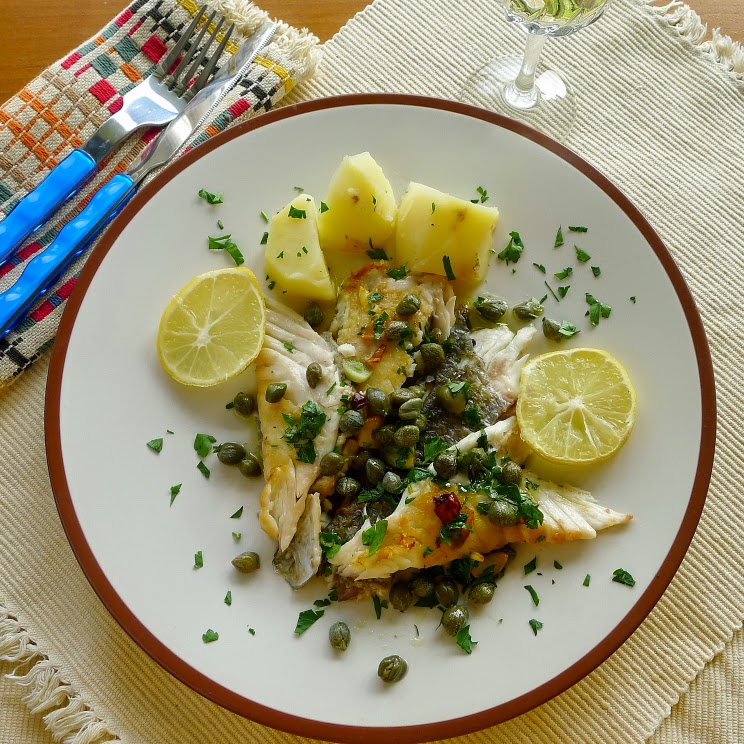 MY KITCHEN IN SPAIN THE GREAT CULINARY CAPER