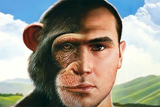 [faccia divisa che rappresenta un essere umano a metà scimmia]
