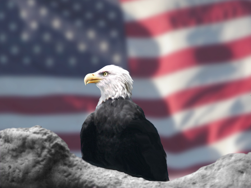 black and silver american flag wallpaper. american flag eagle.