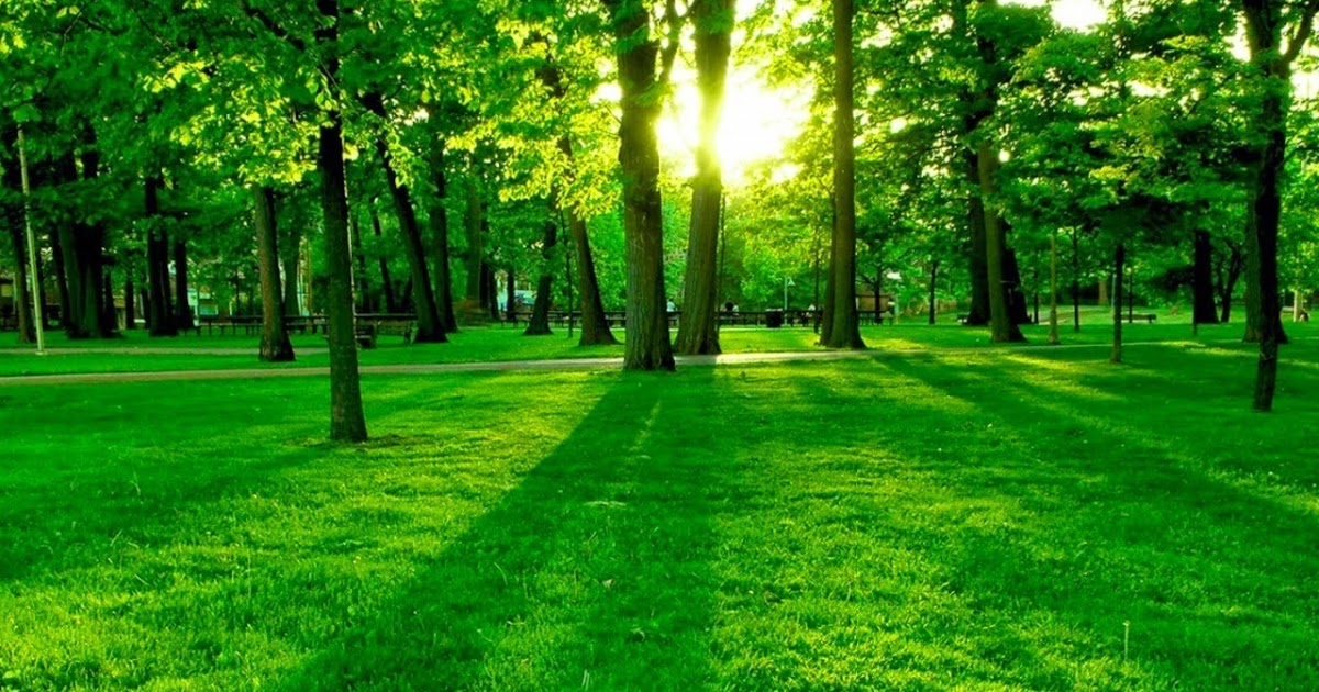 Kata Bijak Lingkungan Hidup Digital Riau