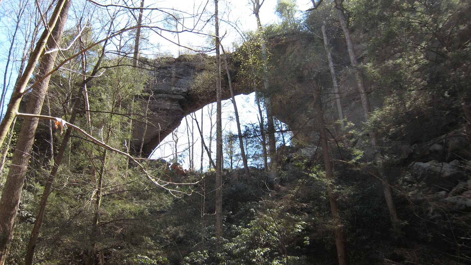 The Outsider: Red River Gorge at Daniel Boone National Forest