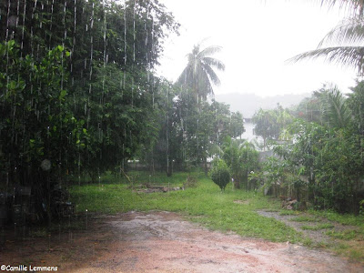 Rain in Plai Laem, Koh Samui