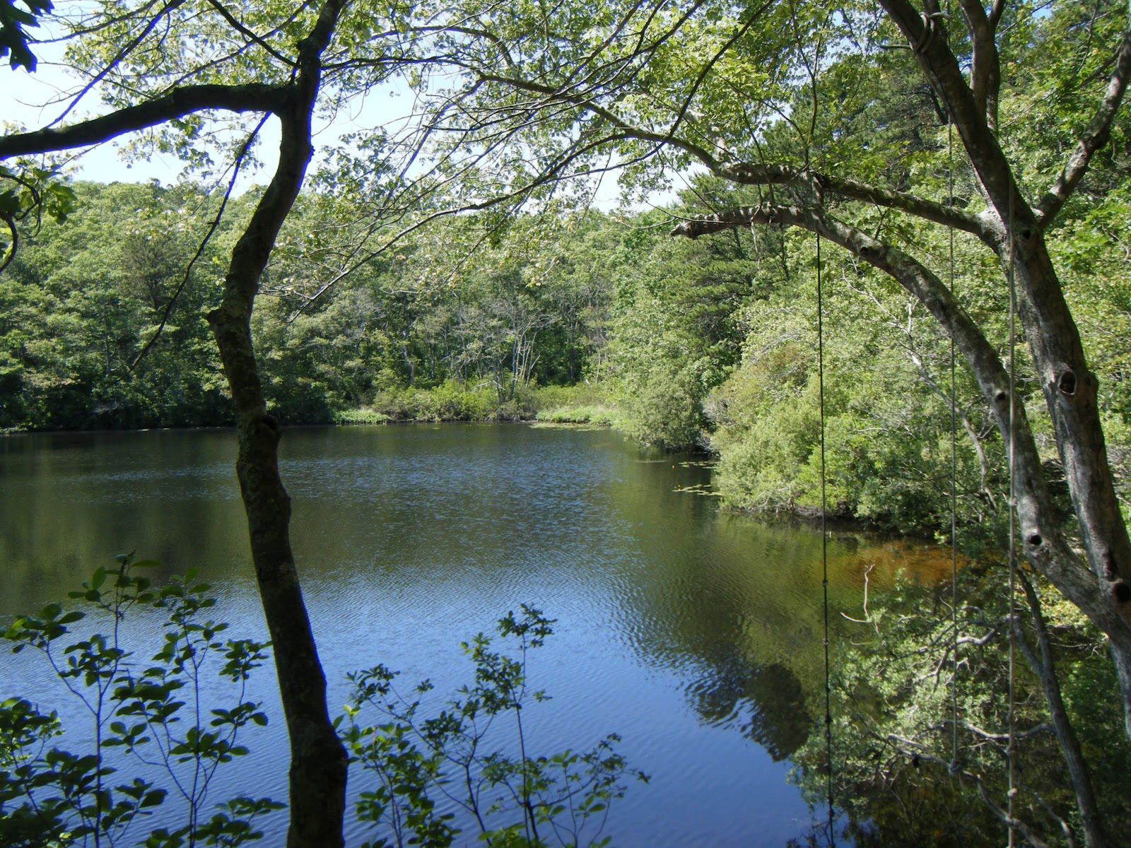 Oasis of Sanity LIFO