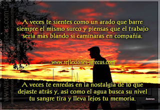 A veces te sientes como un arado que barre siempre el mismo surco y piensas que el trabajo sería más blando si caminaras en compañía. Reflexiones de Superación,