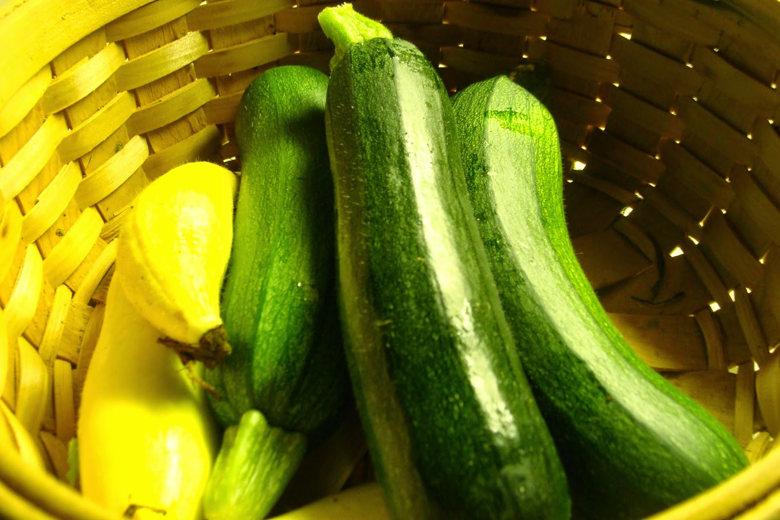 Zucchini/Courgettes/Squash