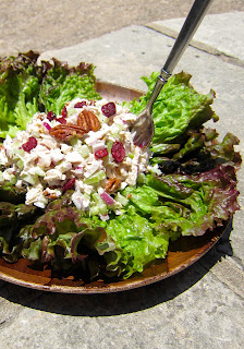 cranberry chicken salad