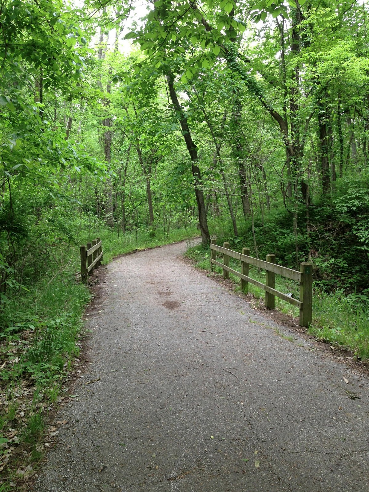 The Roaming Itinerant Weston Bend State Park (Weston, MO)
