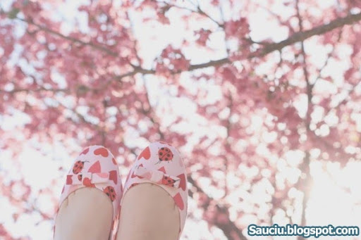 Mong manh tình về (Kì cuối) Mong manh tình về (Kì cuối)