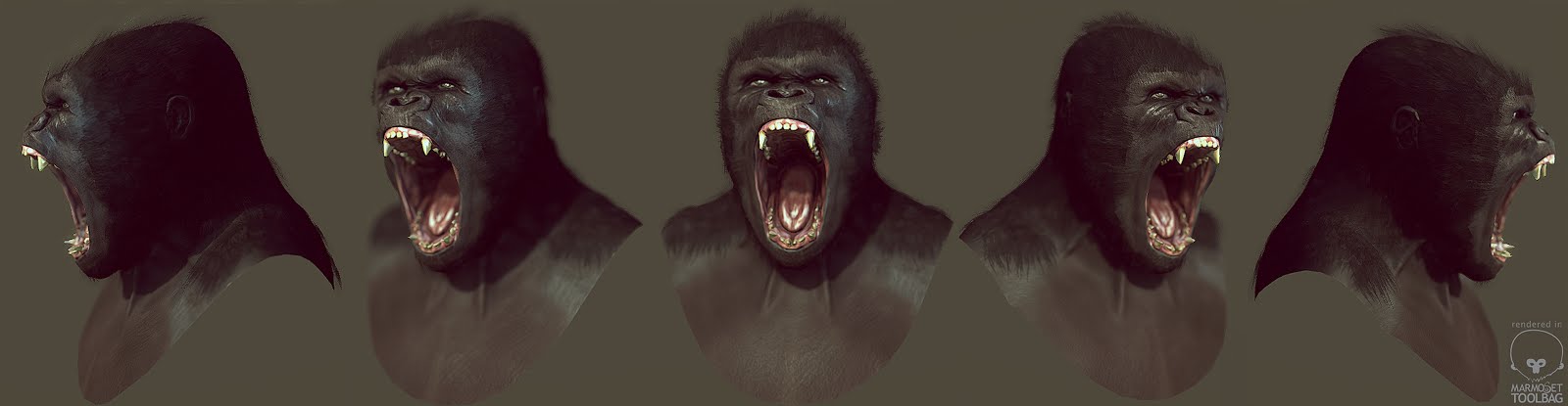 gorilla_turn_images.jpg