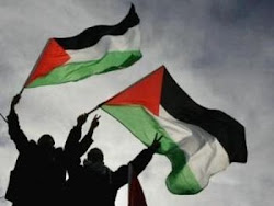 Freedom Of Palestine