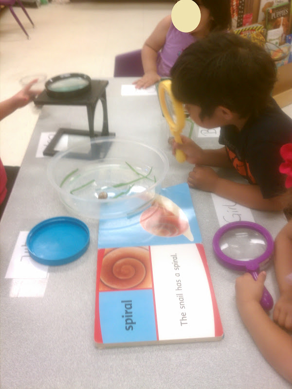 PlayBased Classroom Our New Classroom Pet Snails