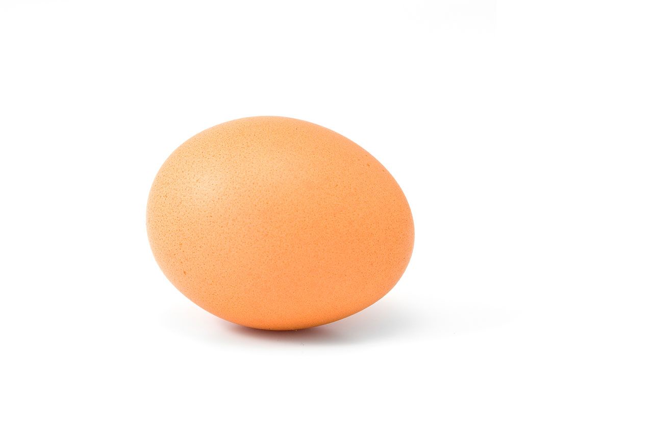 always buy organic eggs for safety health and taste always buy organic eggs for safety health and taste